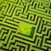 The Mazes of Infinity